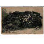  пара хвост большой название перевал . сосна. . Tochigi префектура / Gunma префектура - retro открытка с видом поломка есть S2018-09-21-1