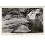 ....... человек. .... и ...... здесь ........*.. сырой .) старый открытка с видом ... Kyoto (столичный округ) .... природа парк юг . город SPS06825KI2tk