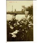 . женщина .(....) retro открытка с видом Yoshino * длина . храм Nara префектура Sakura . город SPS07225KI14tk