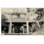 .. один. .. документ бог фирма тории . дешево производство скала Tottori лес открытка с видом магазин выпуск Y21IPDA02-02-1