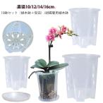 . бабочка орхидея горшок цветочный горшок дыра имеется комплект пластик дыра имеется 10 горшок комплект . бабочка орхидея. .. изменение посадочная машина прозрачный . бабочка орхидея . тарелка имеется цветочный горшок o- Kid pot 