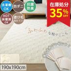 在庫処分 特価 ラグ ラグマット カーペット 洗える 2畳 190×190cm 絨毯 北欧 おしゃれ じゅうたん 安い 抗菌 防ダニ / ソフトタッチラグ