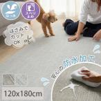 ペットマット 防水 大判 滑らない 1.5畳 120×180 介護 施設 ペット マット 犬 猫 床 フローリング フロアマット 拭ける 介護用品 / グリップシート