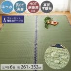 カーペット い草 6畳 6帖 261×352cm 撥水 畳の上に敷くもの ござ いぐさ 江戸間 関東間 田舎間 五八間 58間 上敷き / ゆらぎ