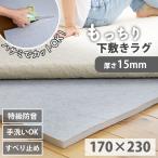 ショッピング下敷き 下敷きラグ アンダーラグ 厚手 15mm 洗える 3畳 170×230 ラグ 下敷き 滑り止め 防音 床暖房対応 ホットカーペット対応 フール