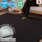 在庫限り 特価 カーペット 絨毯 ラグ 洗える おしゃれ 北欧 2畳 190×190 撥水 防汚加工 防ダニ 抗菌 防臭 オールシーズン 日本製 / パレット2 ブラック
