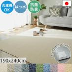 日本製 カーペット 絨毯 ラグ 14色 