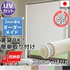  roll screen roll curtain slim .. trim type . light custom-made cheap stylish Northern Europe lease divider made in Japan / fast non shade slim .... type 
