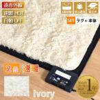 ホットカーペットセット 2畳 本体 遠赤外線 速暖 カバー シャギーラグ 190×190cm 8時間自動オフ 省エネ アイボリー サラ