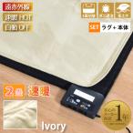 ホットカーペットセット ラグ 本体 遠赤外線 2畳 抗菌 防臭 防ダニ 185×185cm 自動オフ アイボリー ライトキャスト 母の日
