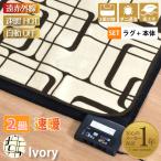 ホットカーペットセット 2畳 ラグ 本体 遠赤外線 抗菌 防臭 防ダニ 185×185cm自動オフ 幾何学柄 アイボリー メビウス