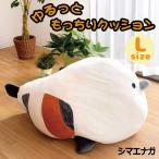 ぬいぐるみ シマエナガ 抱き枕 Lサイズ クッション 大きい ホワイト ビッグ 北海道 鳥 もちもち かわいい 父の日