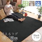 ラグ ラグマット 2畳 洗える 北欧 おしゃれ オールシーズン 約185×185cm 防ダニ ホットカーペット ブラック ライトキャスト 母の日