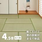 カーペット い草 4.5畳 264×264cm 畳の上に敷くもの ござ 五八間 58間 関東間 田舎間 畳調 畳式上敷き