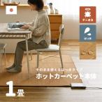 ホットカーペット 本体 小さめ 1畳 176×88cm 日本製 ダニ退治 コンパクト シンプル操作 撥水 木目調 WHC-105KMD