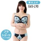 ブラジャー 大きいサイズ インナー 女性 下着 ヴィーヴァブラショーツセット（SP601）