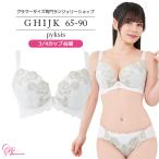 SALE ブラジャー 大きいサイズ インナー 女性 ペークシスブラ(SP-560)