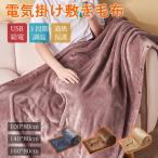 電気毛布 ダブルサイズ 大判 洗える 電気ひざ掛け 暖かい 防寒 掛け敷き毛布 フランネル素材 プードルタッチ 三段階温度調節 USB/バッテリー給電 防寒 節電