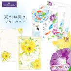 夏のお便り レターパッド [全2柄] 日