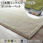 ホットカーペットセット ラグ 洗える 2畳　200x200cm ホットカーペット本体セット 北欧 おしゃれ