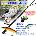 【送料無料】ルナヒサノ シーバス釣りセットDX 9フィート 並継 PE付 竿リールセット