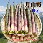  месяц гора .1kg 6 месяц 20 день передний и задний (до и после) последовательный прохладный рейс отправка [ предварительный заказ товар ] корень изгиб бамбук (......nema канава take дикоросы )