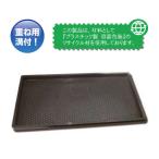 中苗用育苗箱 黒 安全興業