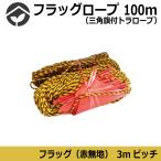 フラッグロープ 三角旗付トラロープ  100ｍ