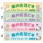 在住マグネット 県内在住です ドライブレコーダー 前後録画中 50×200mm 無反射 車用 猫イラスト