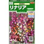 sakata. tane реальный . цветок 6879lina задний (. львиный зев большой ) высота . смешивание 00906879