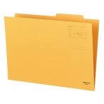 kokyo индивидуальный папка -A3 A3-IFN