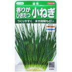  аромат ..... маленький лук порей зеленый превосходящий реальный . серии 923800