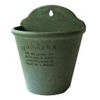  Hachiman .. висячий eko pot / подвешивание ниже type цветочный горшок 210 зеленый [papie(Hachiman gardens:papier)] 21×14.7×25