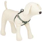 petio(Petio) собака . Tang . Harness зеленый SS размер 