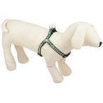 petio(Petio) собака . Tang . Harness зеленый S размер 