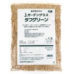 ka кошка вид рассада запад газонная трава. taneJ. сад стакан жесткий зеленый 1.5L