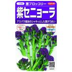 sakata. tane реальный . овощи 2507 стебель брокколи фиолетовый senyo-la