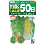 sakata. tane реальный . овощи 2624 Haku носорог выдерживающий болезнь желтый сердцевина 50 день Thai колено заколка-резинка 