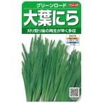 sakata. tane реальный . овощи 3889 чесночный лук большой лист чесночный лук зеленый load 