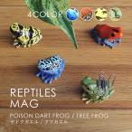 REPTILES MAG レプタイルズ マグ ヤドクガエル アマガエル オブジェ クリップホルダー magnet マグネット
