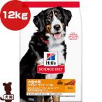 Yahoo! Yahoo!ショッピング(ヤフー ショッピング)ヒルズ サイエンスダイエット 大型犬用 アダルトライト 1〜5歳 肥満傾向の成犬用 チキン 12kg ▼a ペット フード 犬 ドッグ 送料無料