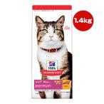 猫用ドライフード