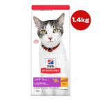 猫用ドライフード