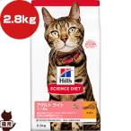 猫用ドライフード