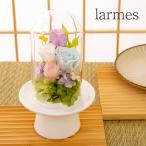  консервированный цветок Ruplan(ru план ). цветок larum стекло купол ... O-Bon домашний алтарь цветок p Lizard цветок . покупка 