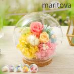  preserved flower Marie tova glass dome stylish birthday marriage festival . opening festival .. job festival .p Lizard flower Mother's Day present gift free shipping 