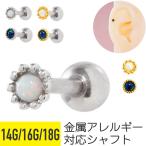 ミニオパールストレートバーベル14...