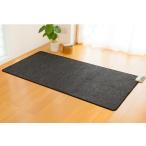 【送料無料】電気ホットカーペット ZCB-10S  １畳タイプ(本体のみ)　※代金引換不可《電磁波カット、ゼンケン》