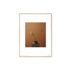 ALIUM × Kinfolk　ポスター/アートプリント　50×70cm　Spring Flowers