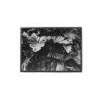 【在庫限り】【再入荷なし】Coco Lapine Design　ポスター/アートプリント　50×70cm　Botanical no.3